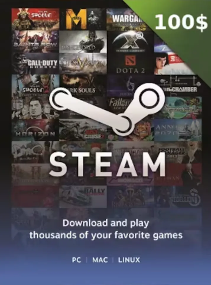 steam100usdgiftcard